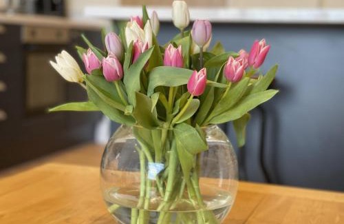 Felpham Casa | Little Crickets