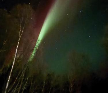 Tromso Apartamento | Little Getaway