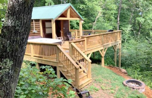 Bryson City Casa | Little Goldies