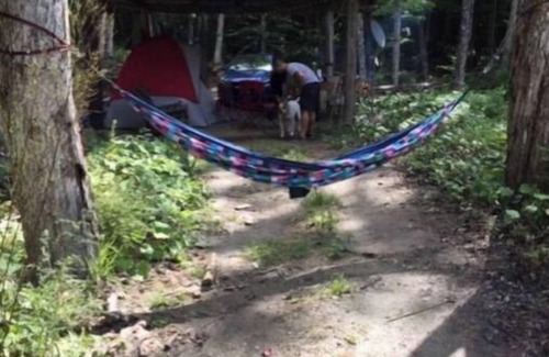 Orleans Alquiler De RV | LITTLE SISTER'S CAMP SITE