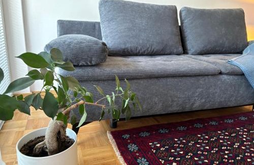 Ljubljana Apartamento | Ljubljanica Apartment