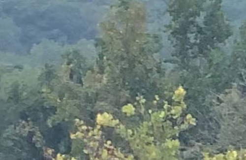 Chattanooga Casa | Disfruta de la vida en el río a solo minutos del emocionante centro de Chattanooga, TN.