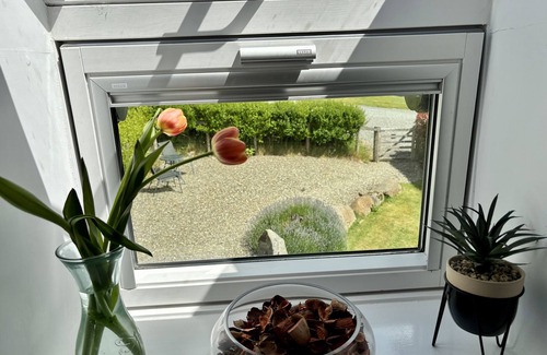 Boncath Cabaña | Lloft Gwair - Hayloft