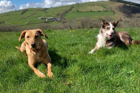Brecon Casa | Llwyn Llwyd Cottage