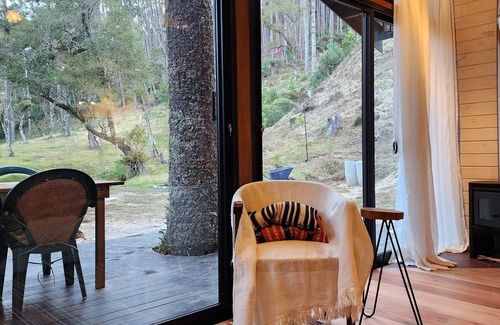 Campos do Jordao Cabina | Locanda del Nero perfect getaway in the Campos do Jordão forest garden