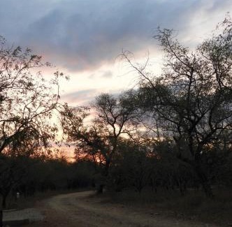 Marloth Park Casa | Locust Retreat Immaculate 2bedroom cottage
