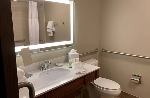 Roanoke Cabina | Lodge ADA Room + Tub | Park View | Resort Access