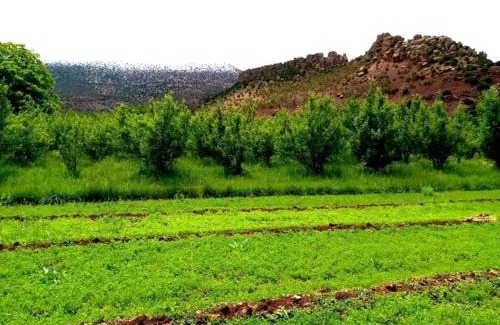 Telouet Casa | LODGE bennouri