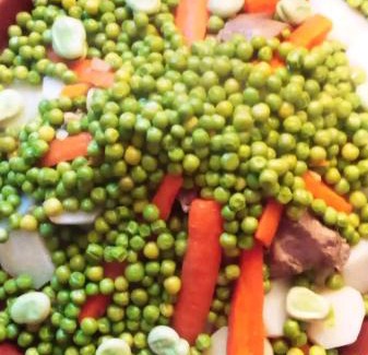 Telouet Casa | LODGE bennouri