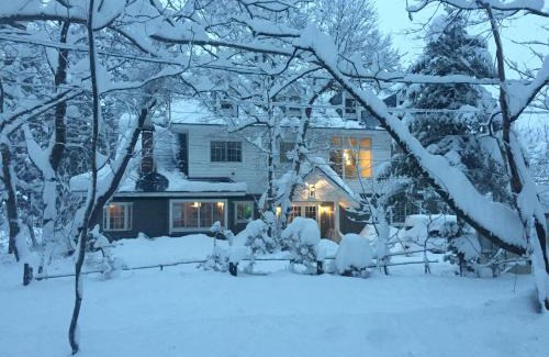 Hakuba Cabina | Lodge Blue Mount Hakuba