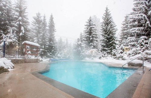 Upper Village Apartamento | Lodge-Style Comfort | Open Concept Studio Suite