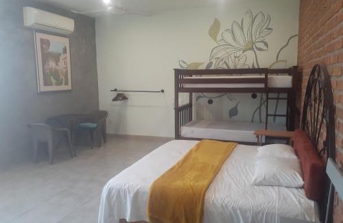 Puerto Vallarta Apartamento | Loft con Jardín amplio 3