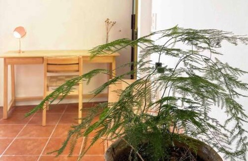 Oaxaca Apartamento | Loft ideal con cochera a 10 minutos del centro