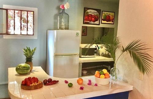 Amapas Casa | Loft Near Beach RG1
