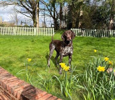 Whitbourne Casa | Log- burner, Hot tub with woodland views Walking trails and local pub on your doorstep! Popular walking trails nearby-Malvern Hills and the Brockhampton Estate- Peaceful village on the border of Hereford and Worcester