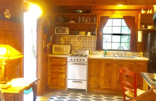 Ellijay Cabina | HOT TUB en el porche. Rodeado de bosques vírgenes de viejo crecimiento.