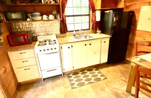 Ellijay Cabina | HOT TUB en el porche. Rodeado de bosques vírgenes de viejo crecimiento.