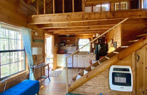 Ellijay Cabina | HOT TUB en el porche. Rodeado de bosques vírgenes de viejo crecimiento.