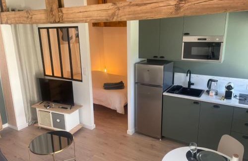 Mimizan Apartamento | Logement entièrement rénové entre le bourg et les plages océanes, calme et confort climatisé, terrasse spacieuse, WIFI, parking gratuit, linge et ménage compris, proche des commerces ouverts toute l'année