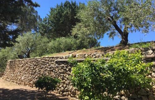 Aubagne Casa | Logement Provence dans domaine oléicole