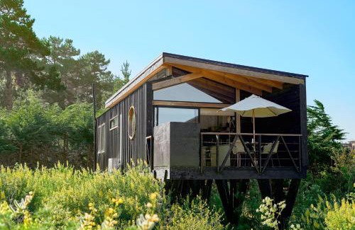 Pichilemu Cabina | Loica