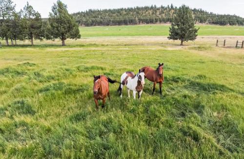 Crooked River Ranch Casa | Long Hollow Ranch - The Homestead House