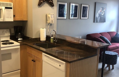 Stratton Mountain Apartamento | Long Trail House Studio en Stratton Mountain Resort