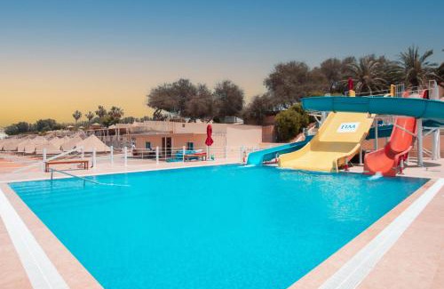 Ras Al Khaimah Otro | Longbeach Campground