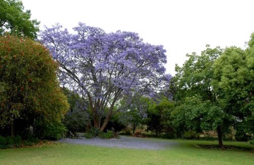 Lydenburg Casa | Longtom Farm Guesthouse