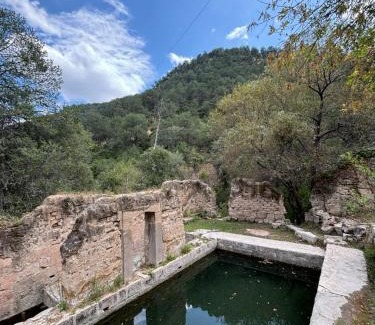 Jerez de García Salinas Casa | Los Cardos Adventure Park