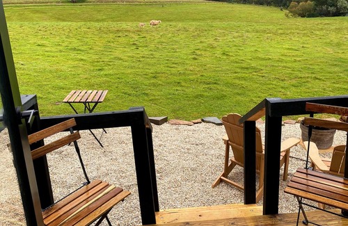 One Tree Hill Casa | Lotties Farm Tiny Homes