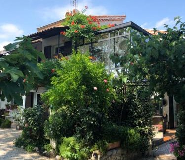 Levens Casa | LOU PANTAI