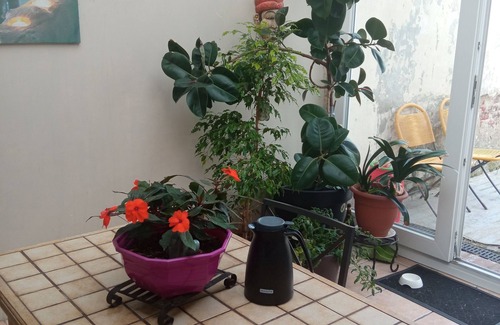 Petite-Synthe Casa | Loue une Chambre Dans ma Maison Dans Laquelle je vis + pti Déjeuner
