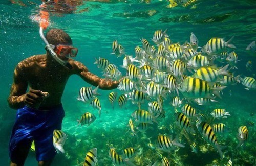 Windsor Castle Casa | 4 Bedroom House - Portland