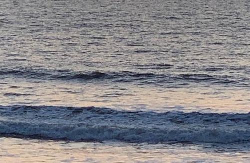 Tonse West Villa | Lovely 5-bed Villa in Udupi