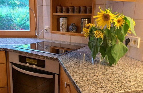 Maishofen Apartamento | Bonito apartamento para 5 personas con WIFI, TV, patio y mascotas permitida