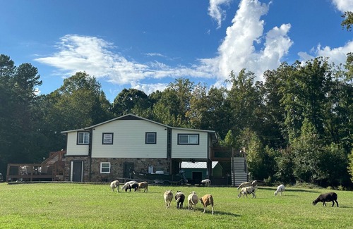 Siler City Cabina | Lovely Farm Cabin Experience