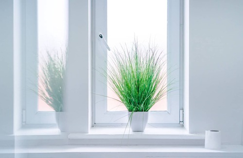 Kirkdale Apartamento | Apartamento-Confortable-Baño en la habitacion-Vista a la Calle