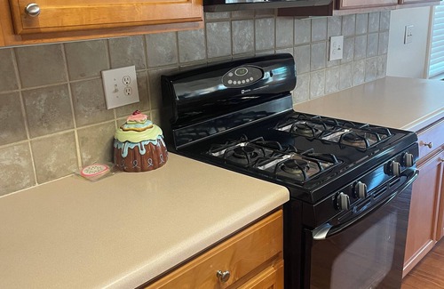 Douglasville Casa | Lovely Suite bedroom house in welcoming Douglasville with AC, WiFi monthly