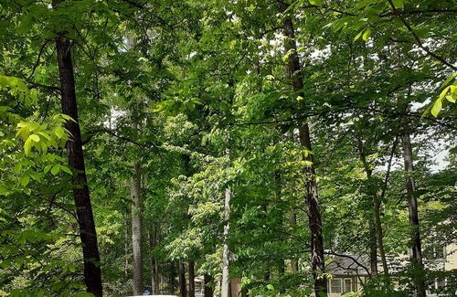 Tucker Casa | Lower level luxury & forest view. Near 285 perimeter & 78.