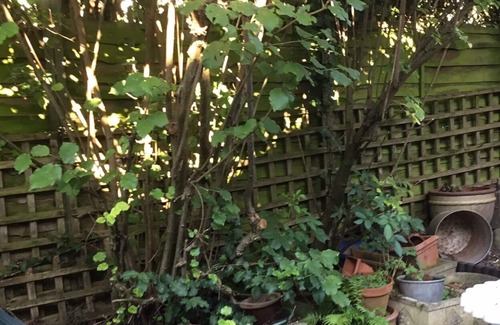 Birmingham Cama Y Desayuno | Wansley Manor BnB
