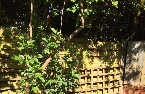 Birmingham Cama Y Desayuno | Wansley Manor BnB