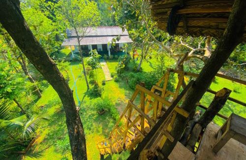Sigiriya Casa | Lucky Villa Sigiriya