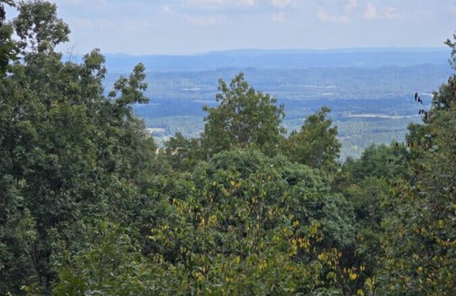 Rising Fawn Apartamento | Lula Lake Cabin Getaway