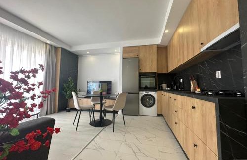 Stefanestii de Jos Apartamento | Lunara Studio #freeparking #pool