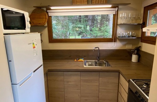 Puerto Manzano Cabina | Cabaña Lupinos - Remanso del Bosque