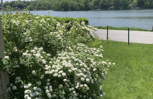 Lake Carmel Casa | Lux Bungalow on Gorgeous Lake. Relax. Explore nearby towns. Ski. Kayak. Hike.