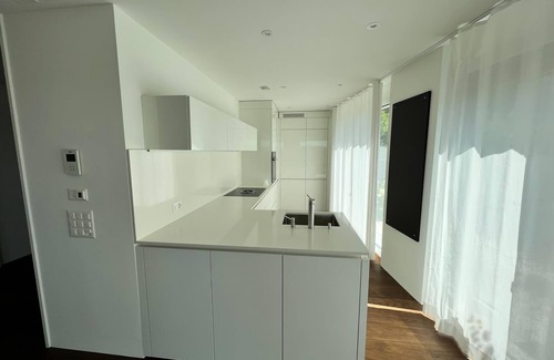 Dietikon District Condominio | Lux Duplex apartment with Sauna & Cold plunge 10 mins from Zürich city