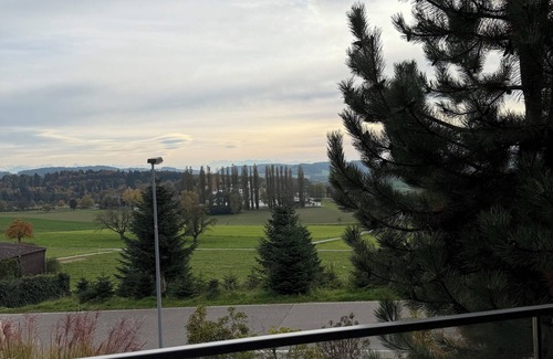 Dietikon District Condominio | Lux Duplex apartment with Sauna & Cold plunge 10 mins from Zürich city