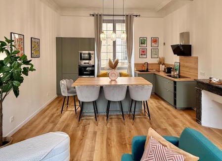 Castres Apartamento | Luxueux appartement cosy, hypercentre Castres